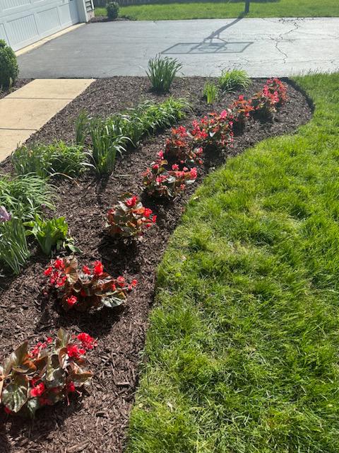 Yard Clean Up in Oswego